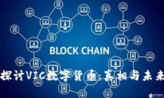 深入探讨VIC数字货币：真