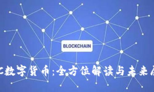 REC数字货币：全方位解读与未来展望