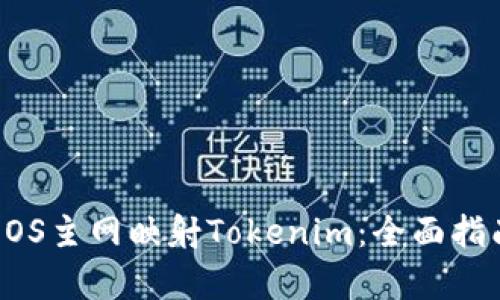 如何在EOS主网映射Tokenim：全面指南与分析