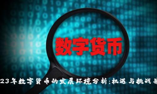 2023年数字货币的发展环境分析：机遇与挑战并存