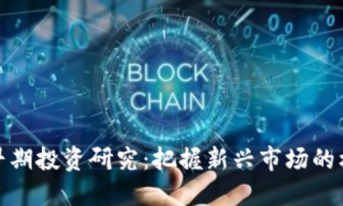 数字货币早期投资研究：把握新兴市场的机会与挑战