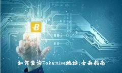 如何查询Tokenim地址：全面