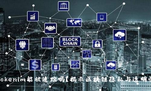 Tokenim能被追踪吗？揭示区块链隐私与透明性