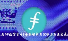 什么是BF数字货币？全面解