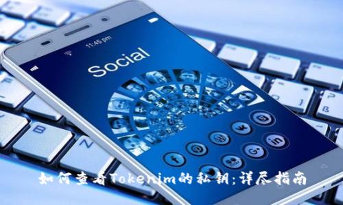 如何查看Tokenim的私钥：详尽指南