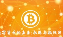 数字货币的未来：机遇与