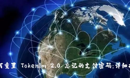 如何重置 Tokenim 2.0 忘记的支付密码：详细指南
