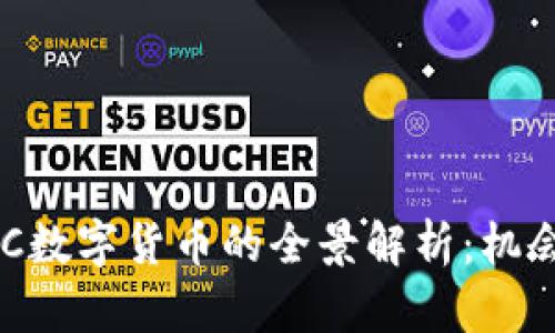 香港ZJC数字货币的全景解析：机会与挑战