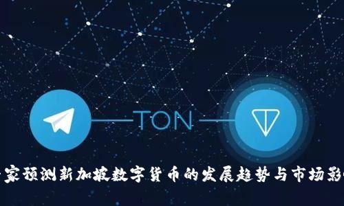 专家预测新加坡数字货币的发展趋势与市场影响