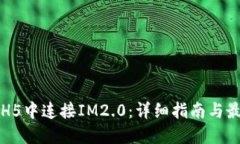 如何在H5中连接IM2.0：详细指南与最佳实践